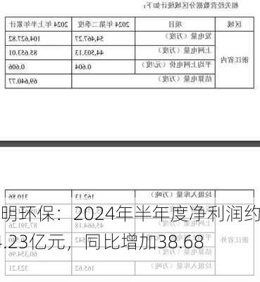 伟明环保：2024年半年度净利润约14.23亿元，同比增加38.68%