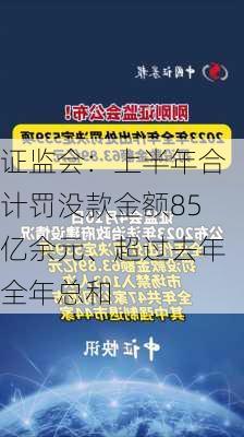 证监会：上半年合计罚没款金额85亿余元、超过去年全年总和