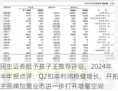 民生证券给予孩子王推荐评级，2024年半年报点评：Q2扣非利润稳健增长，开拓主品牌加盟业态进一步打开增量空间