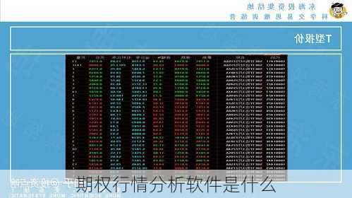 期权行情分析软件是什么