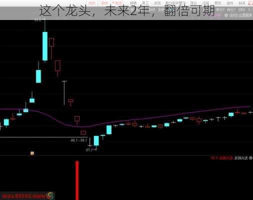 这个龙头，未来2年，翻倍可期