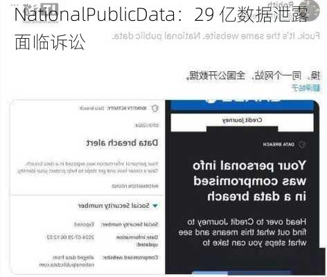 NationalPublicData：29 亿数据泄露 面临诉讼