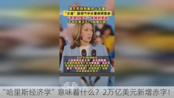 “哈里斯经济学”意味着什么？2万亿美元新增赤字！