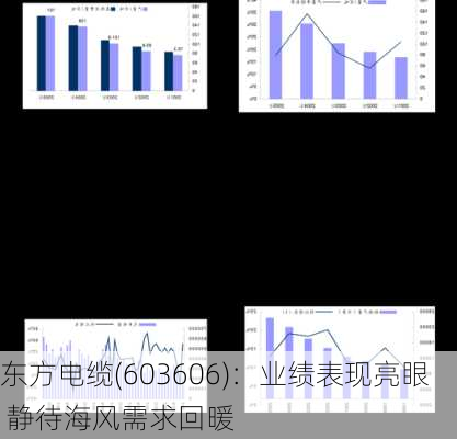 东方电缆(603606)：业绩表现亮眼 静待海风需求回暖