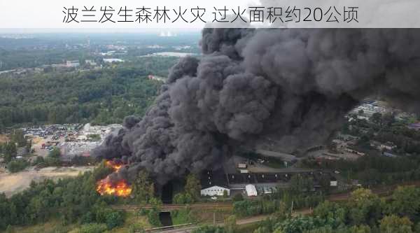 波兰发生森林火灾 过火面积约20公顷