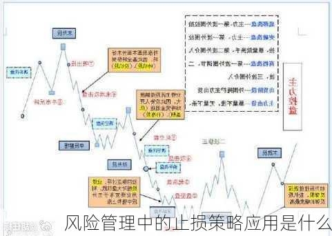 风险管理中的止损策略应用是什么