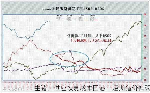 生猪：供应恢复成本回落，短期猪价偏弱