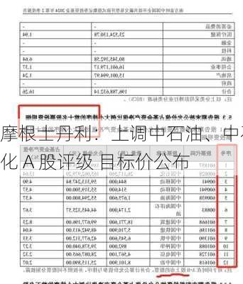 摩根士丹利：上调中石油、中石化 A 股评级 目标价公布