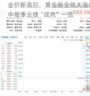 金价新高后，黄金股全线大涨！中报季业绩“成色”一览