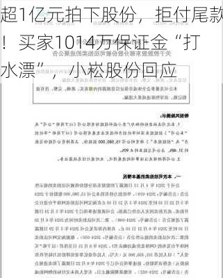 超1亿元拍下股份，拒付尾款！买家1014万保证金“打水漂”，小崧股份回应