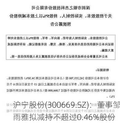 沪宁股份(300669.SZ)：董事邹雨雅拟减持不超过0.46%股份