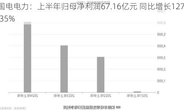 国电电力：上半年归母净利润67.16亿元 同比增长127.35%