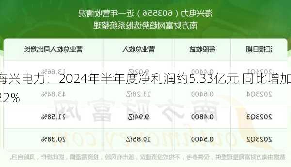 海兴电力：2024年半年度净利润约5.33亿元 同比增加22%