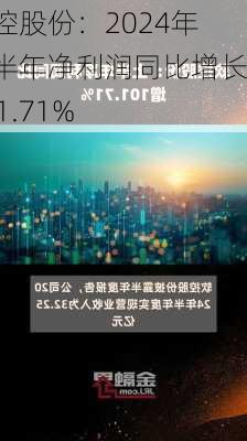 软控股份：2024年上半年净利润同比增长101.71%