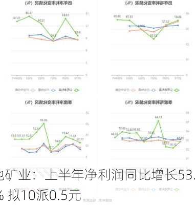 宝地矿业：上半年净利润同比增长53.24% 拟10派0.5元