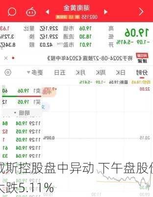 戴斯控股盘中异动 下午盘股价大跌5.11%