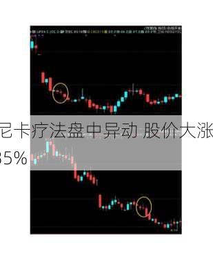 阿尼卡疗法盘中异动 股价大涨5.35%