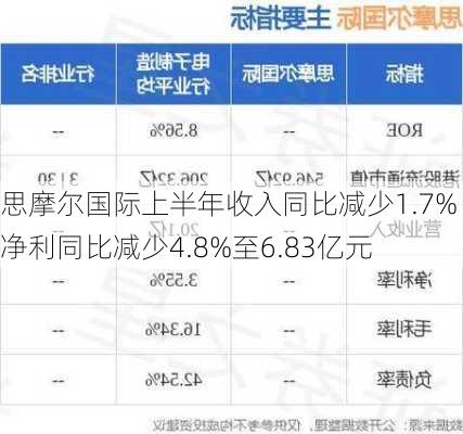 思摩尔国际上半年收入同比减少1.7% 净利同比减少4.8%至6.83亿元