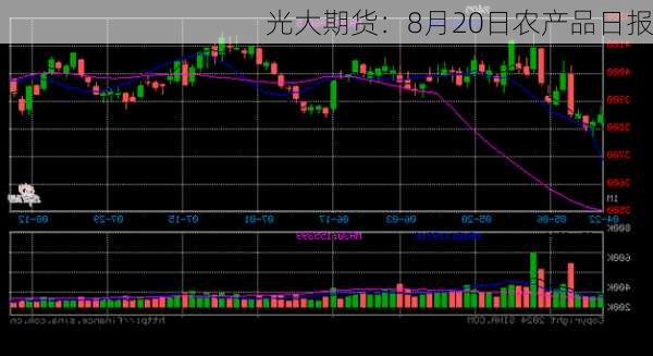 光大期货：8月20日农产品日报