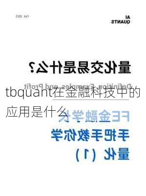 tbquant在金融科技中的应用是什么