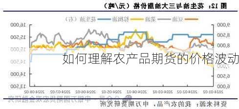 如何理解农产品期货的价格波动