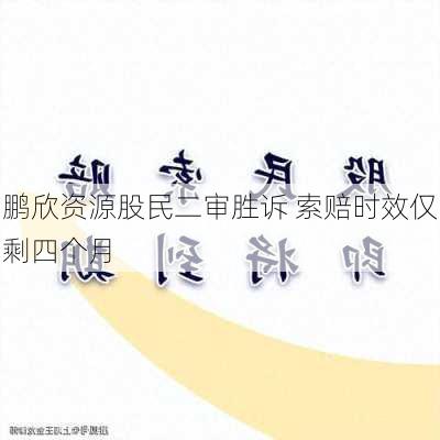 鹏欣资源股民二审胜诉 索赔时效仅剩四个月