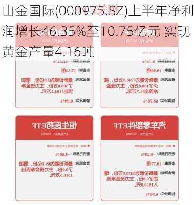 山金国际(000975.SZ)上半年净利润增长46.35%至10.75亿元 实现黄金产量4.16吨