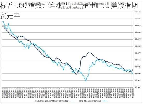 标普 500 指数：连涨八日后稍事喘息 美股指期货走平