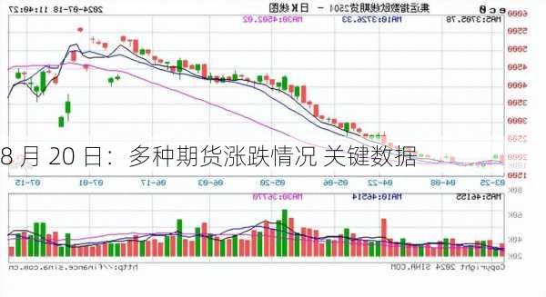 8 月 20 日：多种期货涨跌情况 关键数据