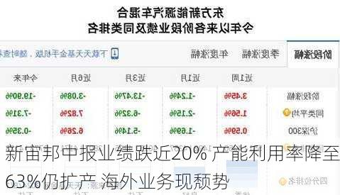 新宙邦中报业绩跌近20% 产能利用率降至63%仍扩产 海外业务现颓势