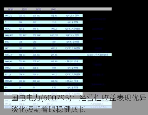 国电电力(600795)：经营性收益表现优异 淡化短期着眼稳健成长