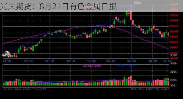 光大期货：8月21日有色金属日报