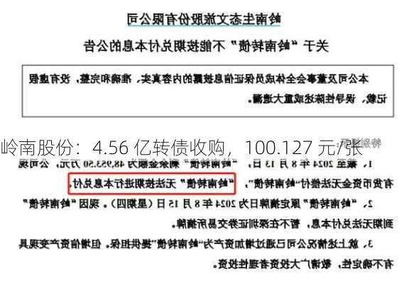 岭南股份：4.56 亿转债收购，100.127 元/张