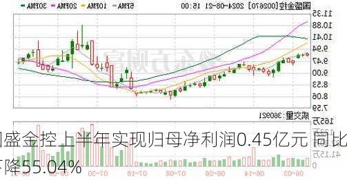 国盛金控上半年实现归母净利润0.45亿元 同比下降55.04%