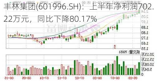 丰林集团(601996.SH)：上半年净利润702.22万元，同比下降80.17%