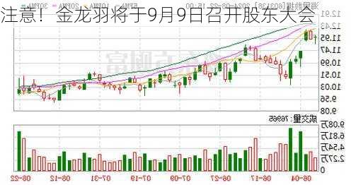 注意！金龙羽将于9月9日召开股东大会