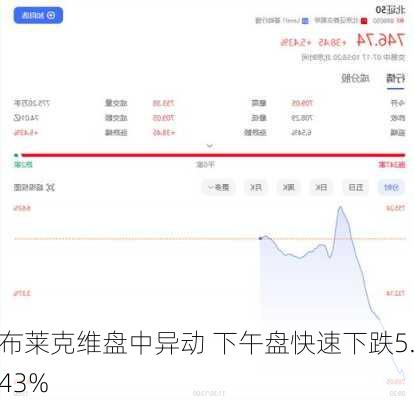 布莱克维盘中异动 下午盘快速下跌5.43%