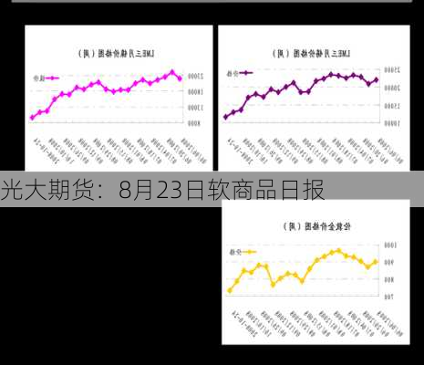 光大期货：8月23日软商品日报