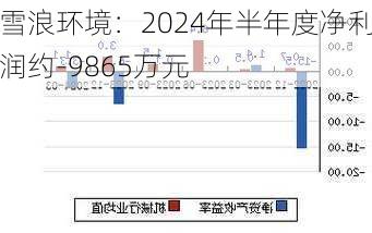 雪浪环境：2024年半年度净利润约-9865万元