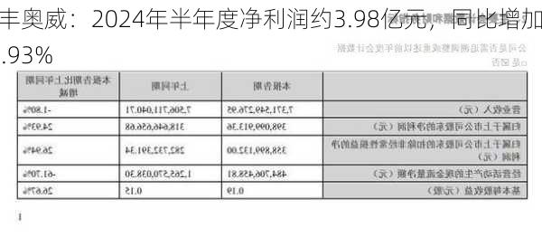 万丰奥威：2024年半年度净利润约3.98亿元，同比增加24.93%