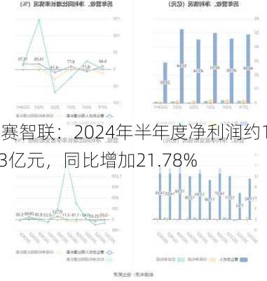 云赛智联：2024年半年度净利润约1.13亿元，同比增加21.78%