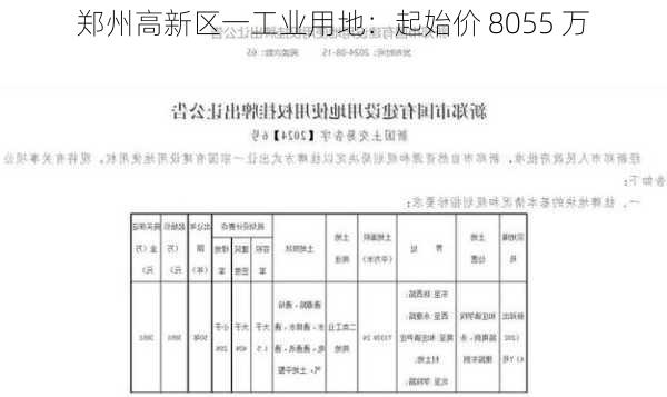 郑州高新区一工业用地：起始价 8055 万