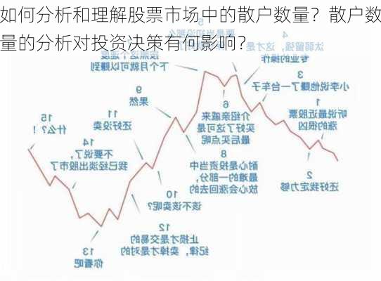 如何分析和理解股票市场中的散户数量？散户数量的分析对投资决策有何影响？