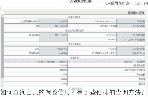 如何查询自己的保险信息？有哪些便捷的查询方法？