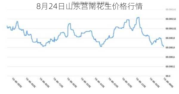 8月24日山东莒南花生价格行情