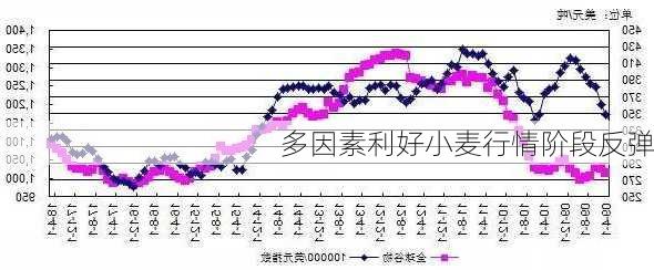 多因素利好小麦行情阶段反弹