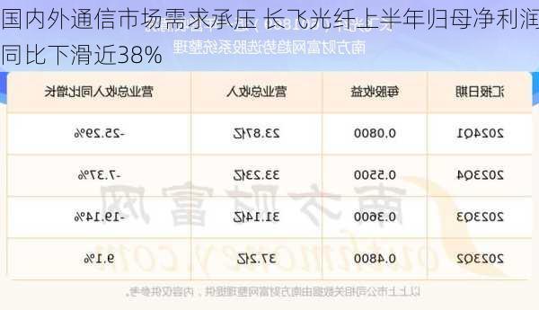 国内外通信市场需求承压 长飞光纤上半年归母净利润同比下滑近38%