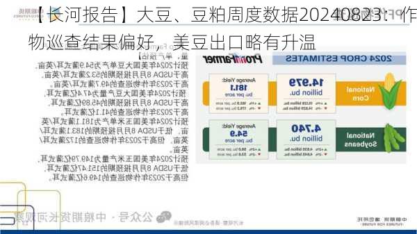 【长河报告】大豆、豆粕周度数据20240823：作物巡查结果偏好，美豆出口略有升温