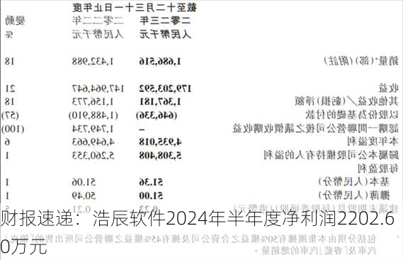 财报速递：浩辰软件2024年半年度净利润2202.60万元