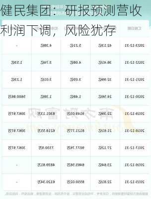 健民集团：研报预测营收利润下调，风险犹存